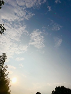 46633A5F-CF6F-467E-B632-318CD0AC8421.jpeg